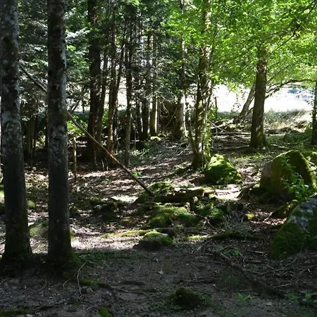 De La Cheneau Сasa de vacaciones Rochesson