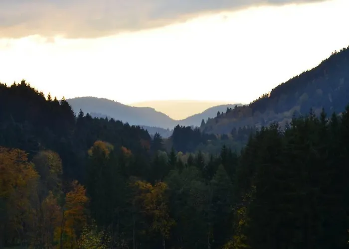 De La Cheneau Rochesson