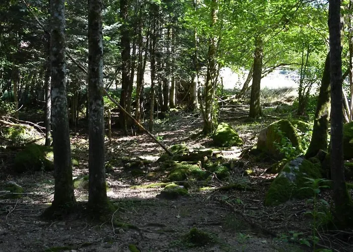 De La Cheneau Дом отдыха Rochesson